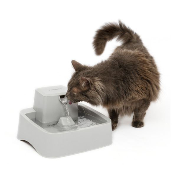 Diy Kitty Water Fountains Ceramic Cat Homemade Cat Water Fountain