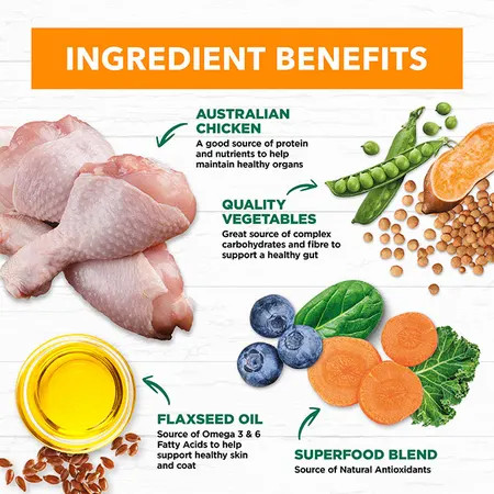 Ivory Coat Wet Dog Food Chicken Stew