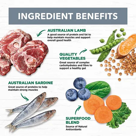 Ivory Coat Wet Dog Food Lamb And Sardine Stew PetO