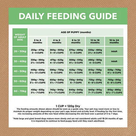 Weight Labrador Diet Chart How Much To Puppy Feeding Chart By