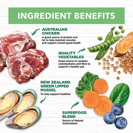 Ivory Coat Large Breed Dry Puppy Food PetO