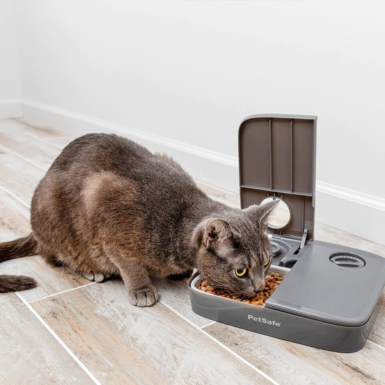 Petsafe Automatic Meal Pet Feeder - Main Image