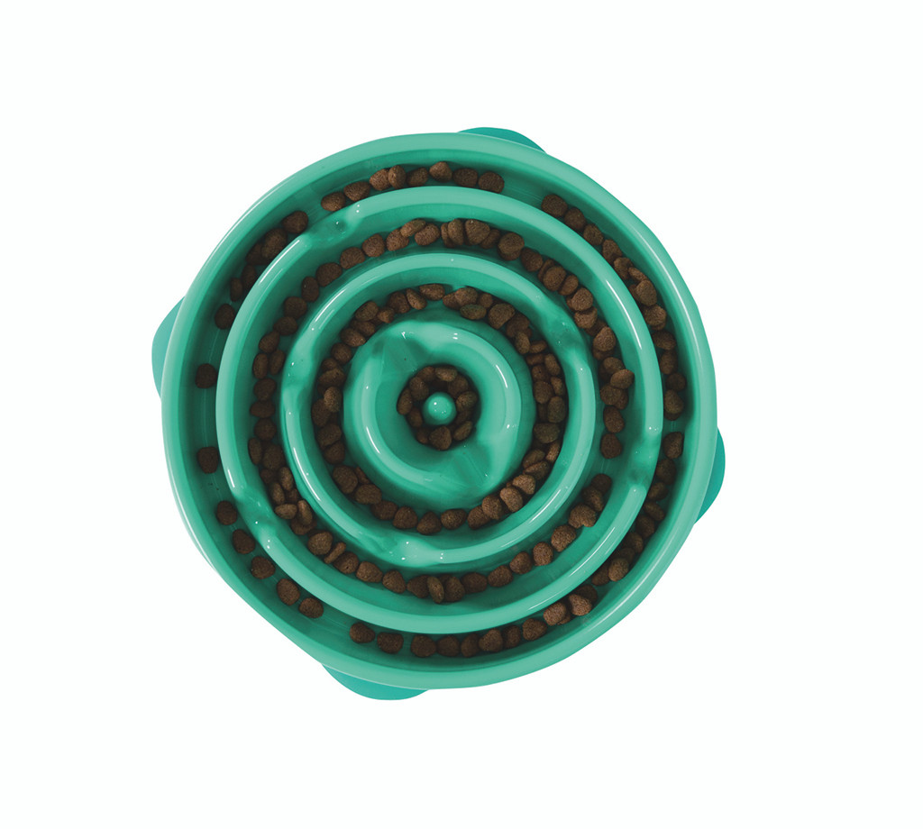 Outward Hound Fun Feeder Slow Feed Dog Bowl Teal PetO