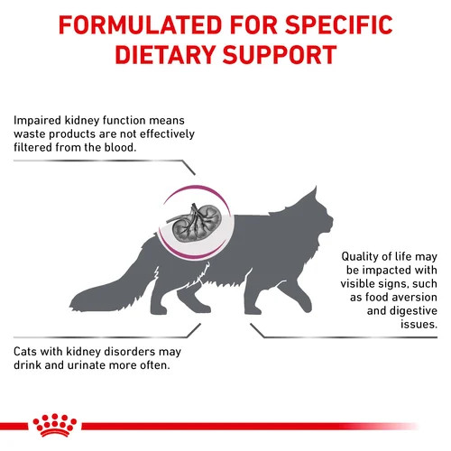 Royal Canin Veterinary Diet Renal Dry Cat Food PetO