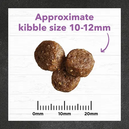 Ivory Coat Dry Puppy Food Large Breed Turkey and Brown Rice