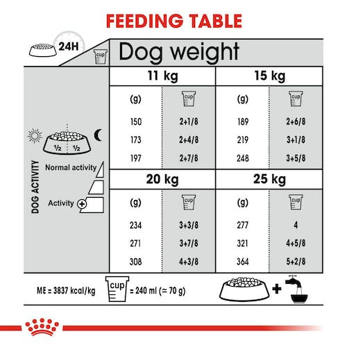 Royal Canin Dog Dental – 14 Kg Trockenfutter Für Hunde Zur Zahnpflege