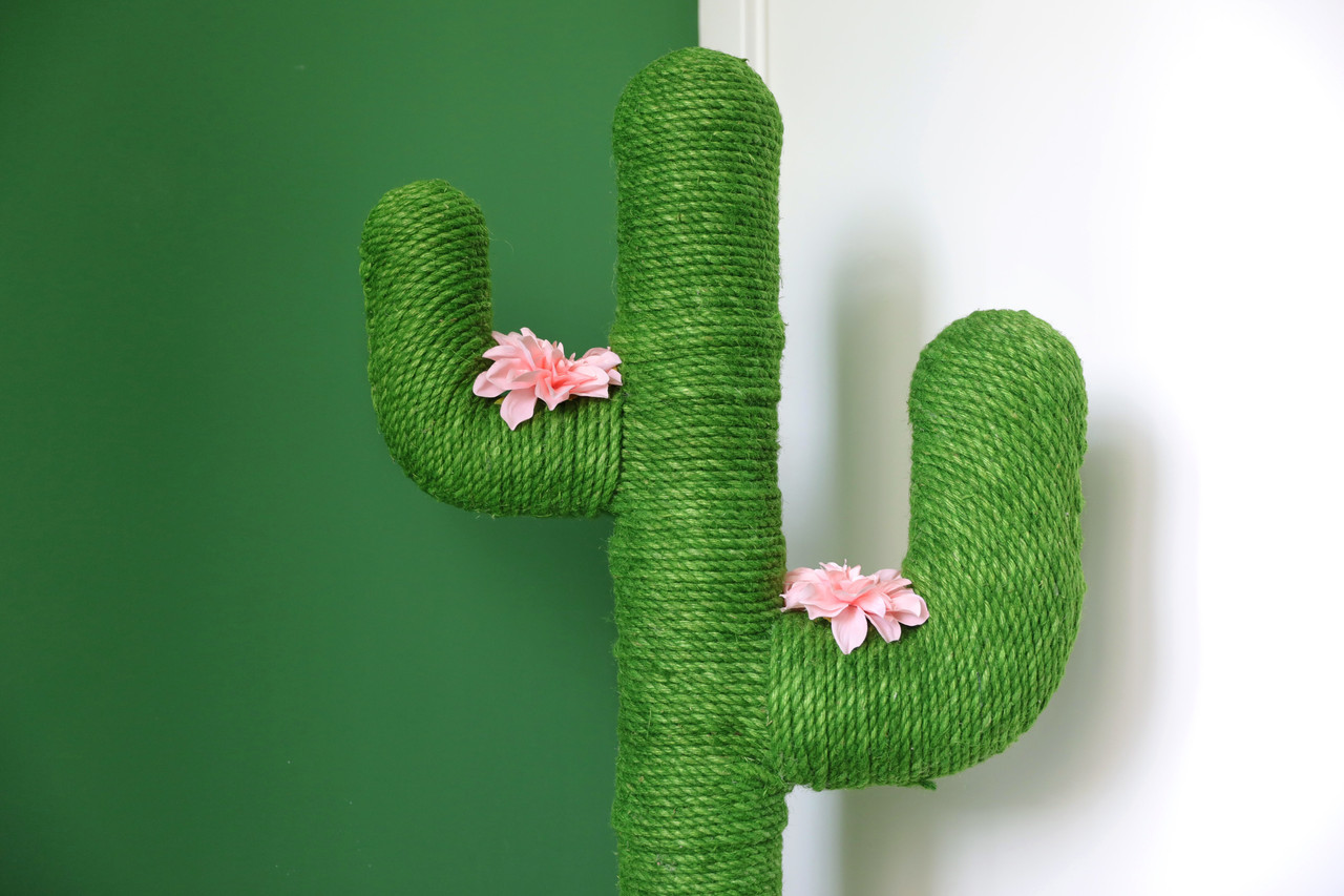 cactus cat scratcher