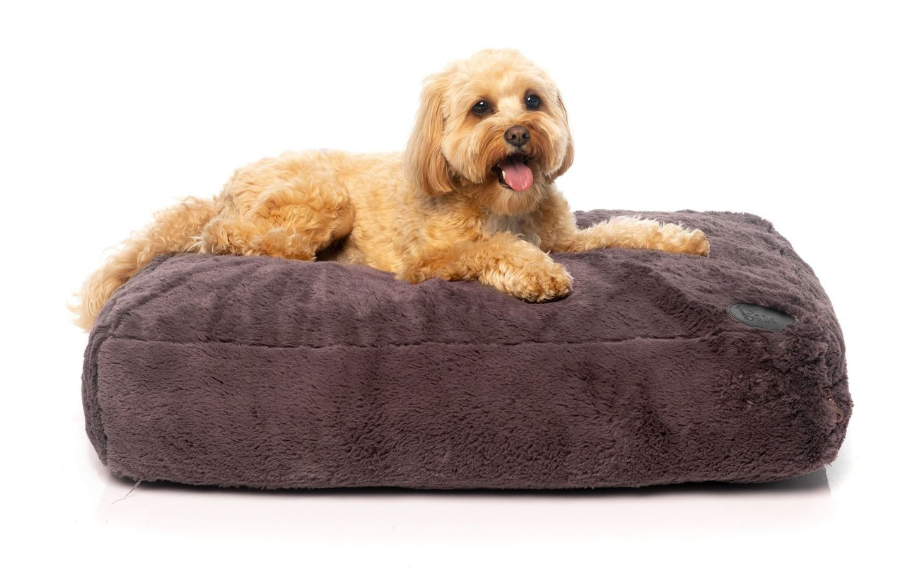 FuzzYard Nanook Pillow Dog Bed Truffle
