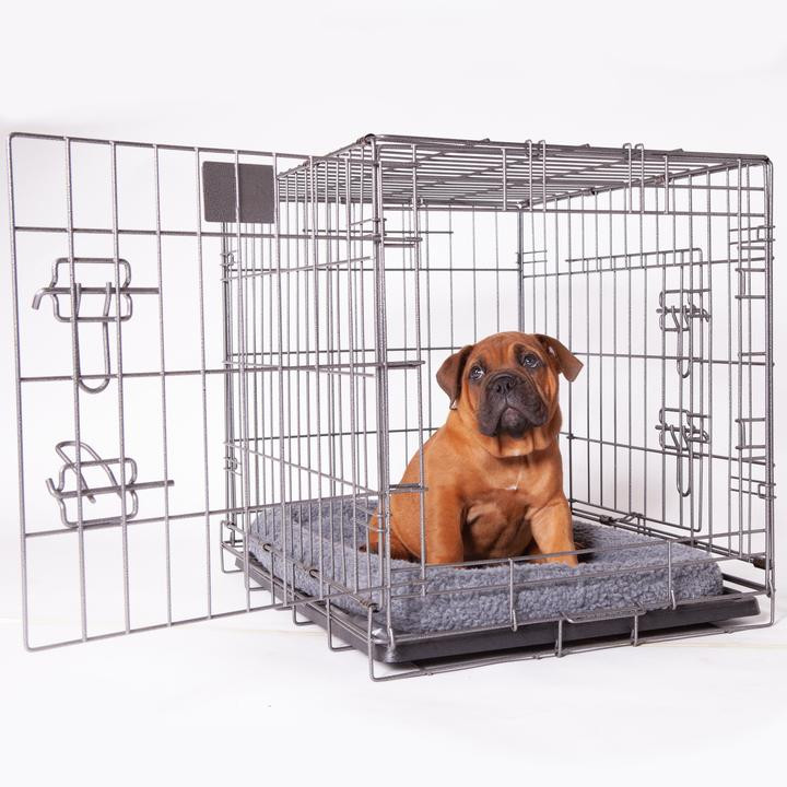 Pet Products Frisco Double Door Dog Crate FRISCO Heavy Duty Fold