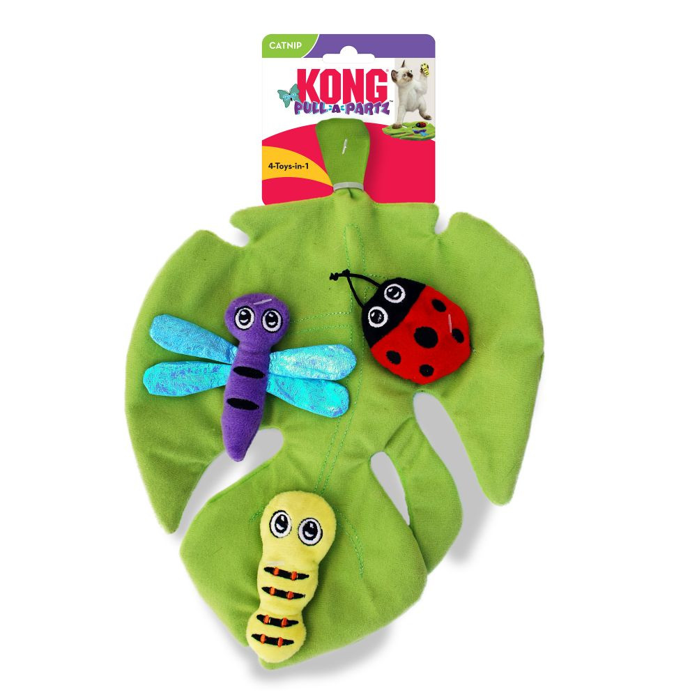 kong pull toy