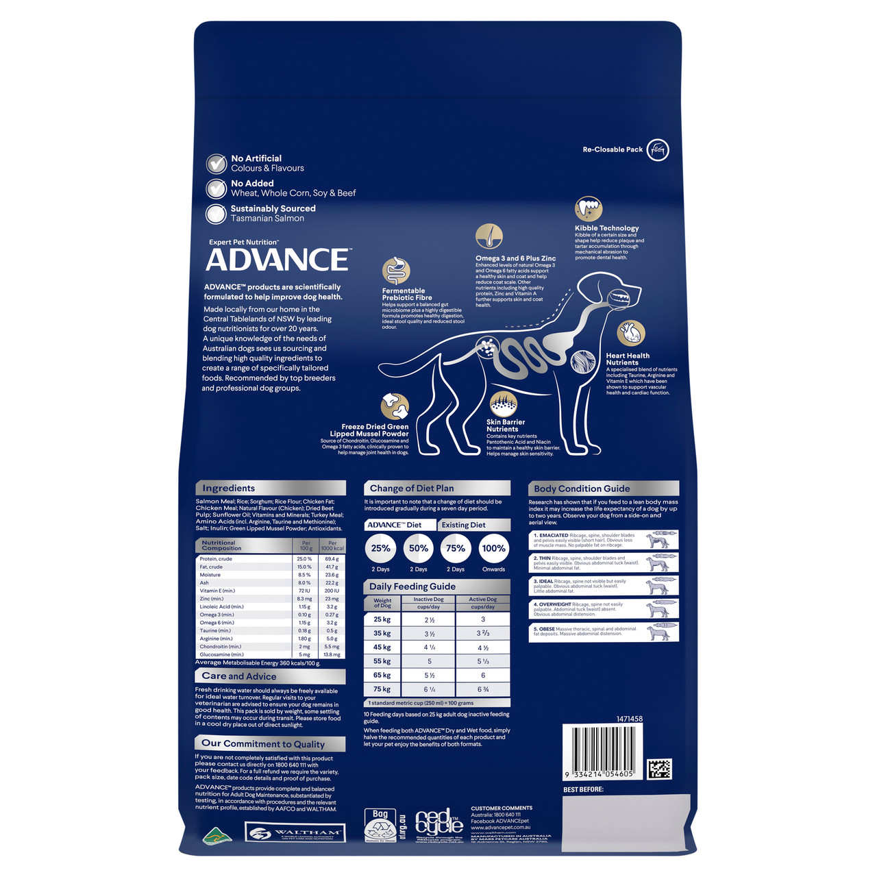 ADVANCE Large Oodles Salmon with Rice Dry Dog Food