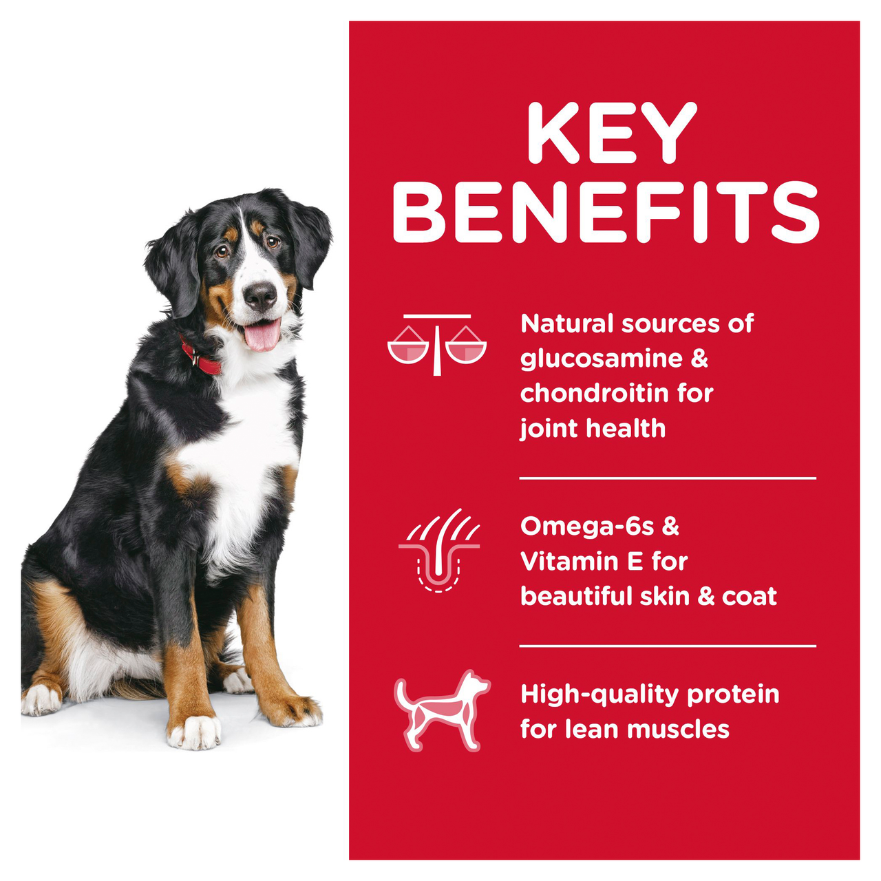 Hill's Science Diet Large Breed Lamb Rice Dry Dog Food