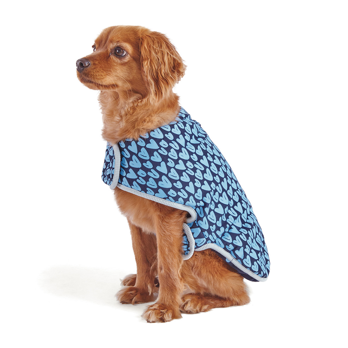 kazoo snuggle jacket