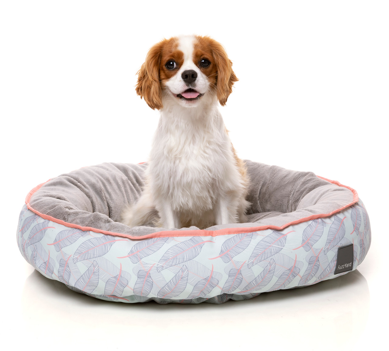 fuzzyard large dog bed