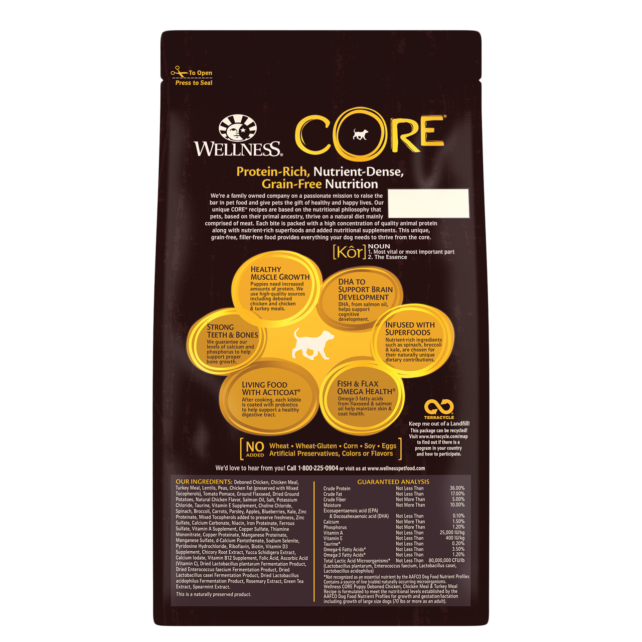 Wellness core grain free puppy sales