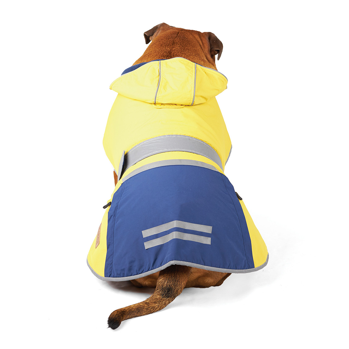 Kazoo Cosy Rain Dog Waterproof Coat Mustard