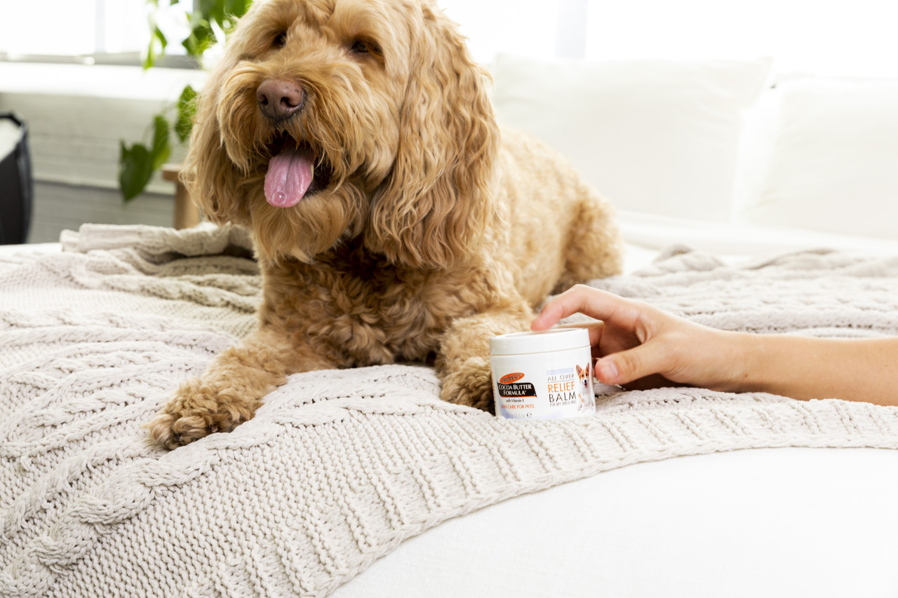 Palmer's for Pets All Over Relief Balm with Cocoa Butter