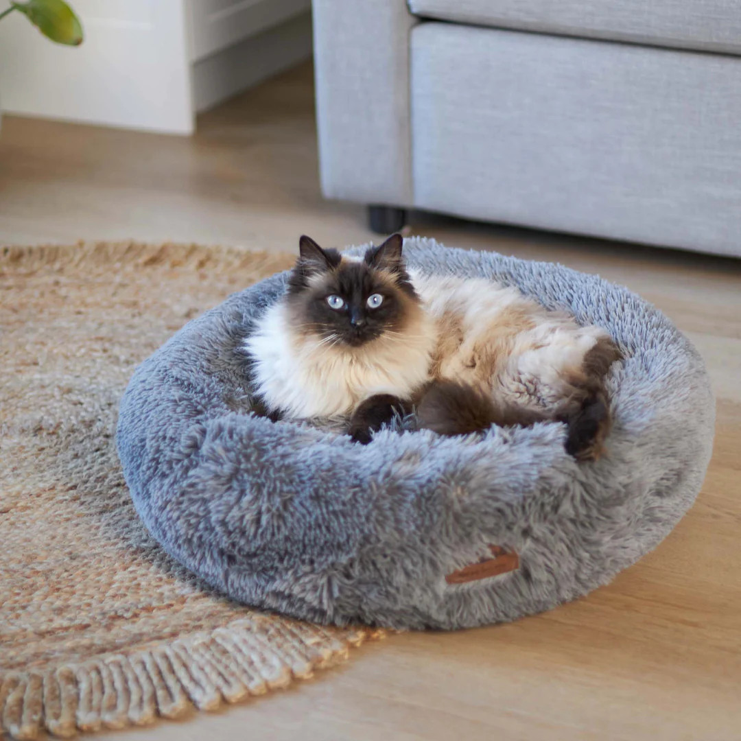 Kazoo Peacock Calming Dog & Cat Bed Mud