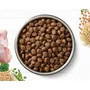 Ivory Coat Dry Puppy Food Chicken and Brown Rice