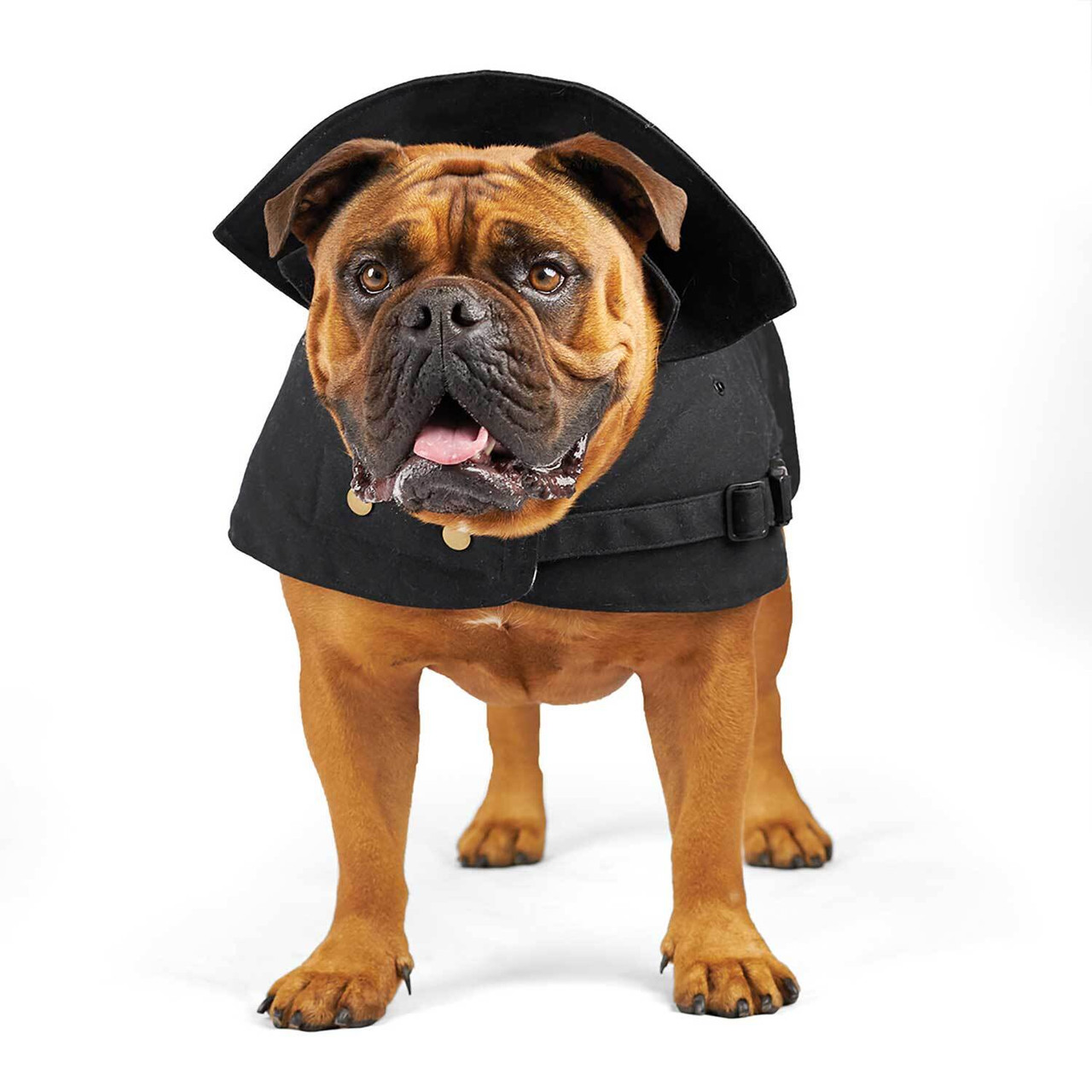Kazoo Aussie Oilskin Dog Coat Black