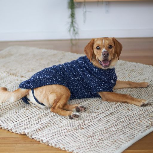 Kazoo Navy Seas Dog Jumper