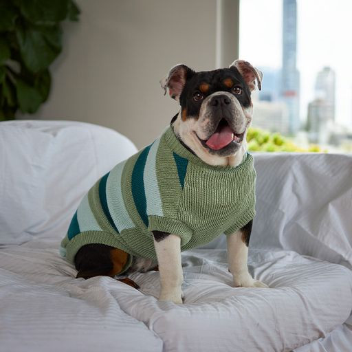 Kazoo Chestie Dog Jumper Forest