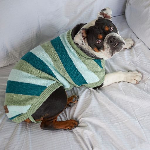 Kazoo Chestie Dog Jumper Forest