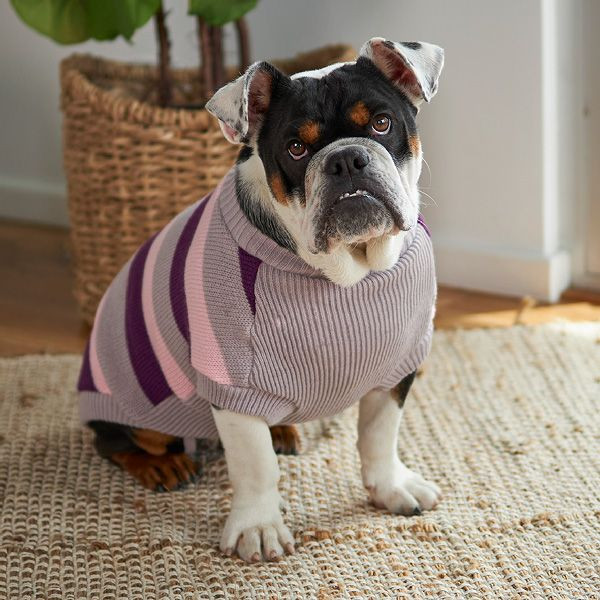 Kazoo Chestie Dog Jumper Cherry Ripe