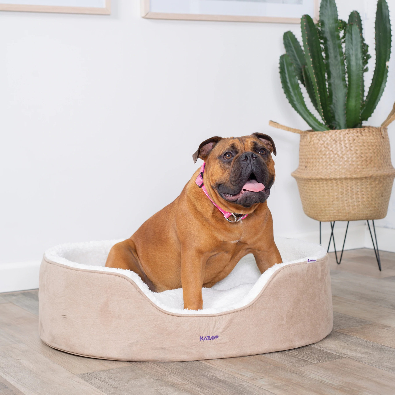 Kazoo Manhattan Dog Bed Coffee & White