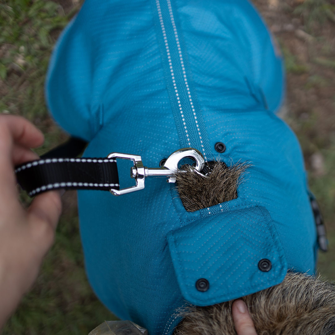 Kazoo Adventure Dog Coat with Harness Hatch Blue
