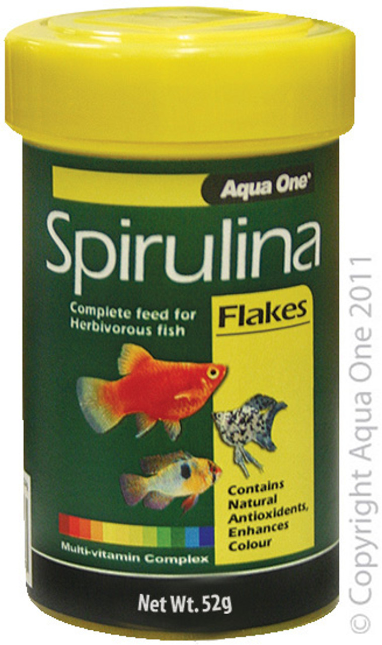 spirulina fish food