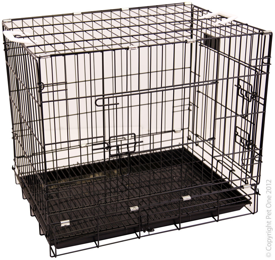 collapsible kennel