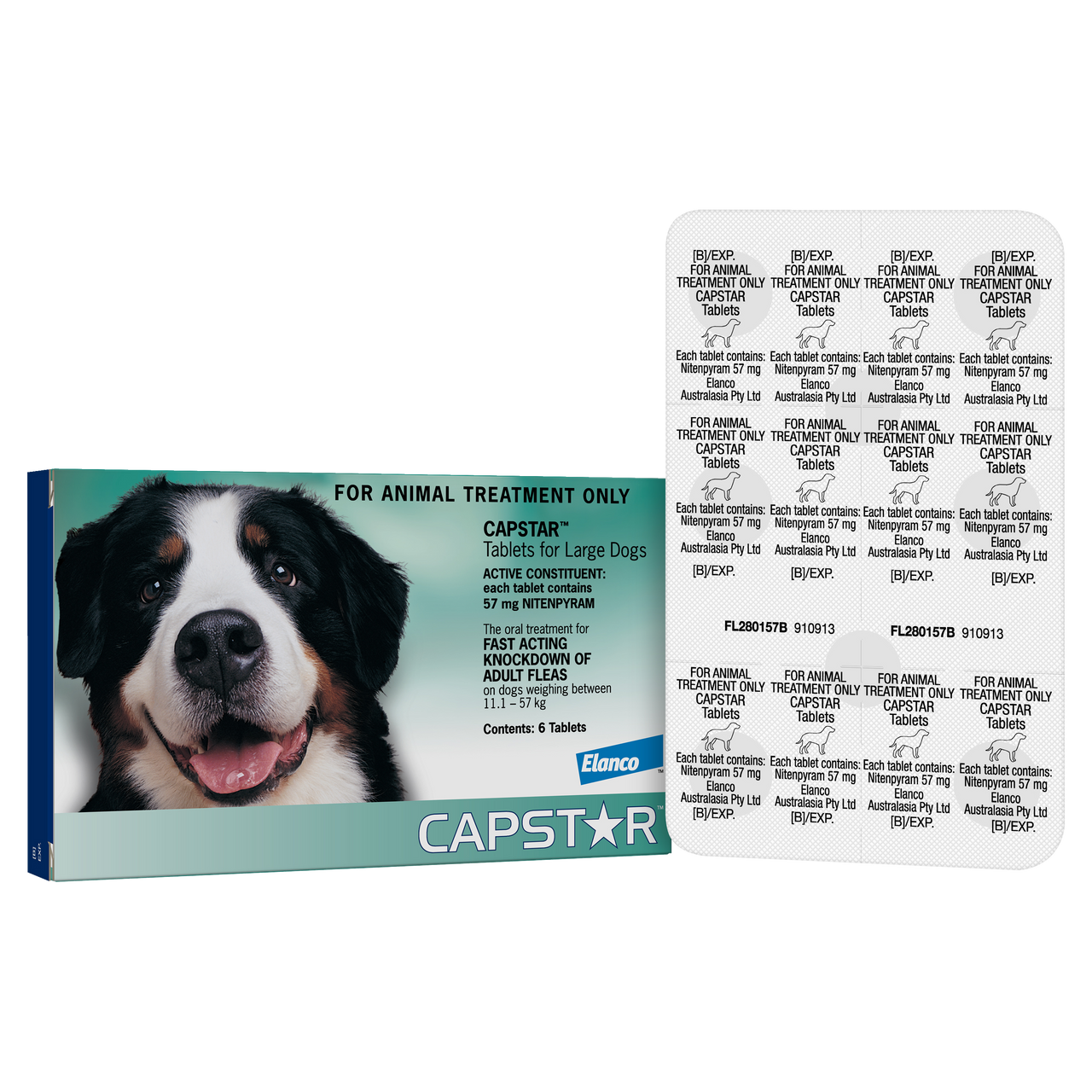 Capstar Flea Treatment For Large Dogs PetO