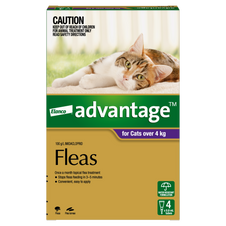 Advantage For Large Cats Purple