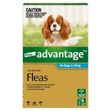 Advantage For Medium Dogs Aqua
