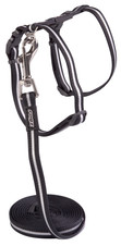Rogz Alleycat Harness and Lead Set Black