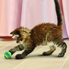 KONG Tennis Balls With Bells Cat Toy
