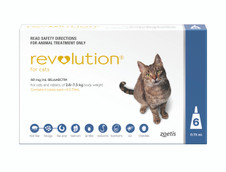 revolution plus cat orange