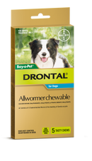 drontal small dog wormer