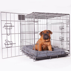 Kazoo Premium Collapsible Dog Crate