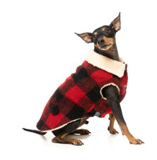 FuzzYard The Lumberjack Dog Jacket Red