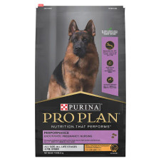 Pro Plan Adult Performance Dry Dog Food