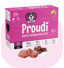 PROUDI Raw Beef Patties for Dogs