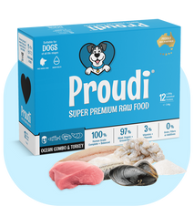 PROUDI Raw Seafood & Turkey Patties for Dogs