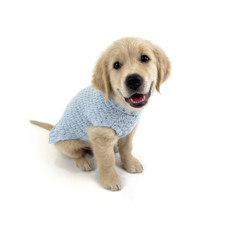 Huskimo Snuggle Sky Dog Jumper
