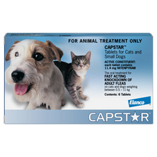 Capstar Flea Treatment For Small Dogs & Cats