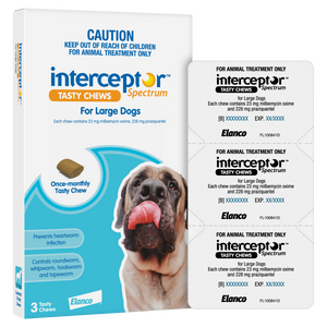 Interceptor Spectrum Chews Large Dog Blue