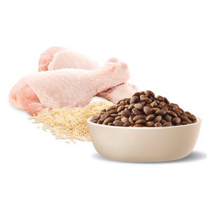 ADVANCE Puppy Growth Large+ Breed Dry Dog Food Chicken