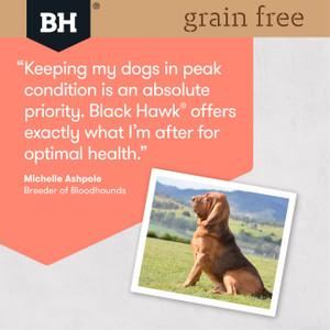 Black Hawk Grain Free Salmon Dry Adult Dog Food review