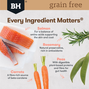 Black Hawk Grain Free Salmon Dry Adult Dog Food back